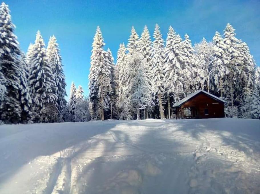 Chalet 3 Etoiles A Gerardmer. Exterior foto